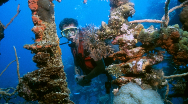 Diving In Coron Palawan Diving Holidays Regaldive The Diving